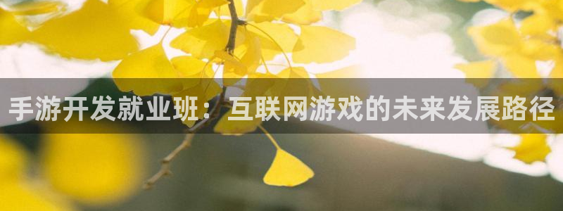 摩根娱乐是正规合法的吗是真的吗知乎：手游开发就业班：互联网游