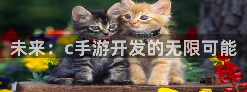 摩根娱乐是正规合法的吗安全吗：未来：c手游开发的无限可能