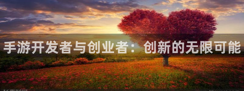 摩根娱乐app下载安装手机版：手游开发者与创业者：创新的无限