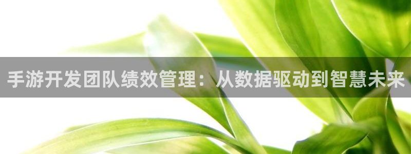 摩根娱乐是什么：手游开发团队绩效管理：从数据驱动到智慧未来