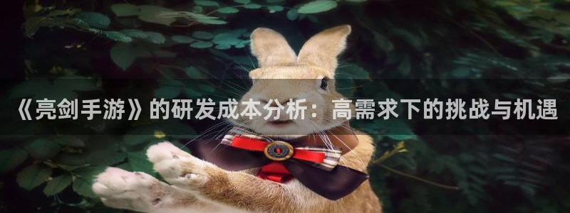 摩根娱乐是个什么平台啊多少钱：《亮剑手游》的研发成本分析：高
