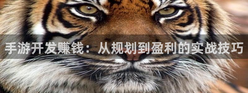 摩根娱乐平台：手游开发赚钱：从规划到盈利的实战技巧
