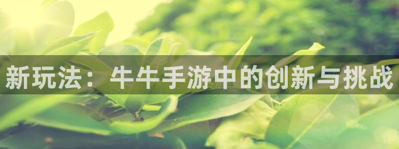 摩根娱乐娱乐官网入口在线观看：新玩法：牛牛手游中的创新与挑战