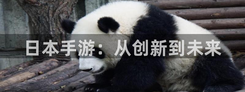 摩根娱乐官网入口在线观看：日本手游：从创新到未来