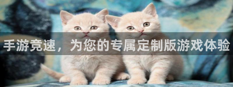 摩根娱乐app下载官网安装：手游竞速，为您的专属定制版游戏体