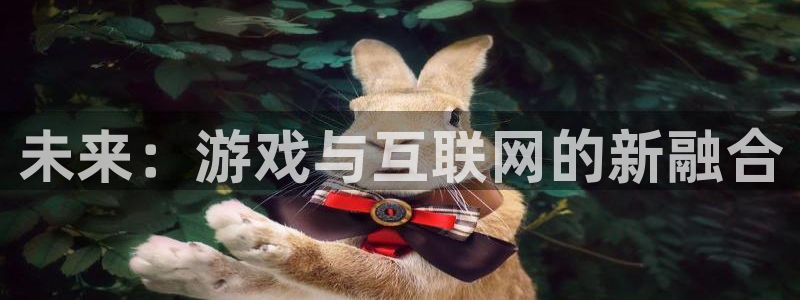 摩根娱乐挂机教程视频：未来：游戏与互联网的新融合