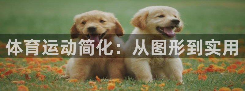 oety欧亿：体育运动简化：从图形到实用