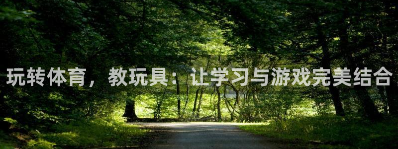 oety欧亿：玩转体育，教玩具：让学习与游戏完美结合